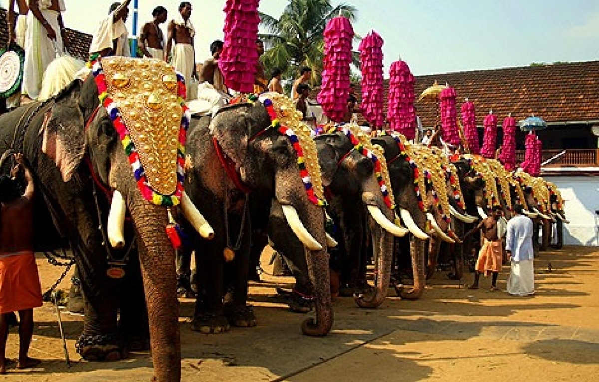 5 марта 2018 года: Парипалли Гаджамела (праздник слонов в городе Парипалли, штат Керала)