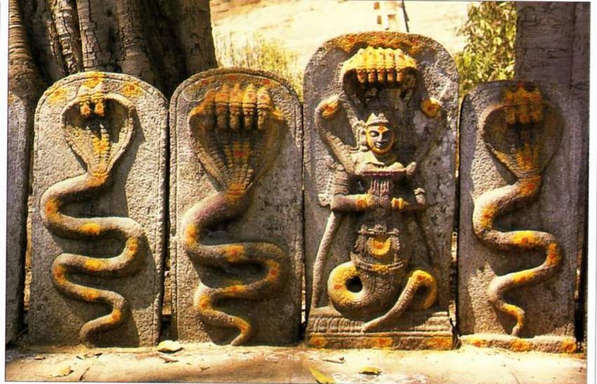 25 июля 2020 года: Наг-панчами (Праздник почитания змей)